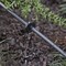 Raindrip Raindrip Spot Drip Irrigation Dripper 1 gph 10 pk 117010B - alternate 2